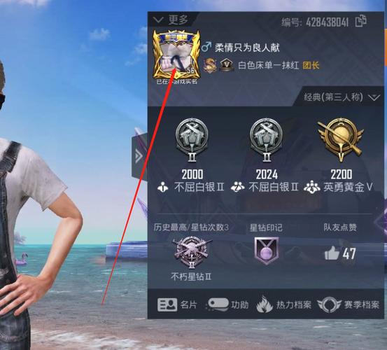 和平精英魔方辅助白色版无删减