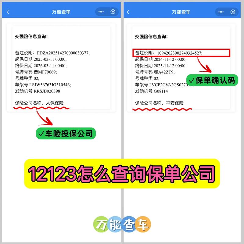 交管12123怎么查车辆违章查询记录赚钱版游戏截图