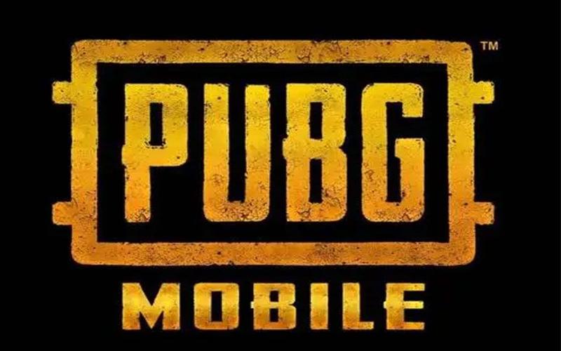 PUBG毒蛇直装版免付费