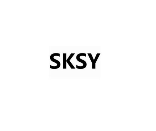sks连点器