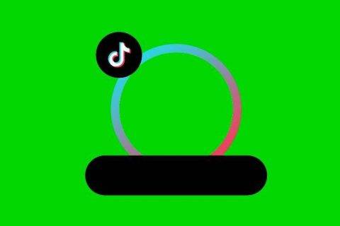 tiktok绿色图标永久免费