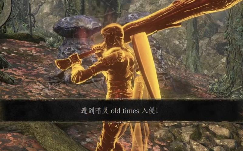 黑魂三暗灵入侵规则中文字幕
