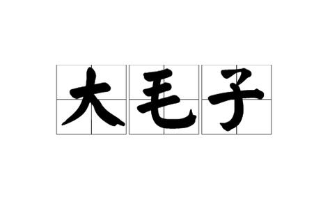 大毛子公益直装