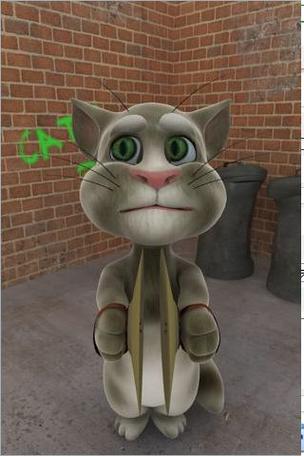 会说话的3d汤姆猫下载永不升级版