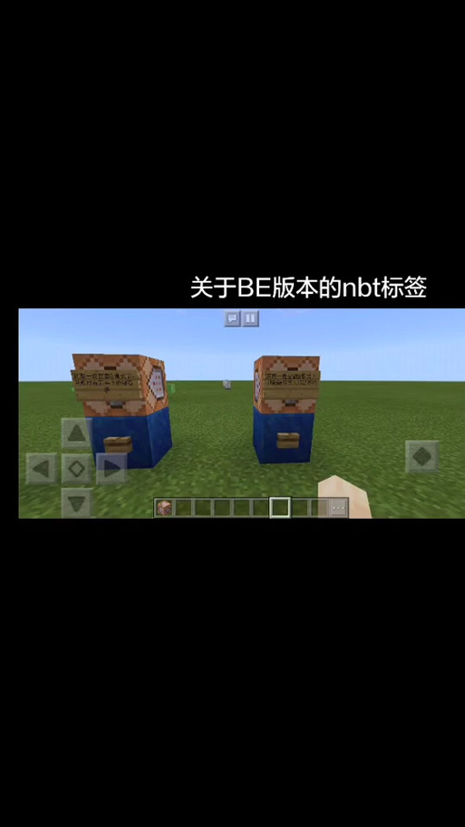 我的世界NBT制裁盒子修改版无限次数截图