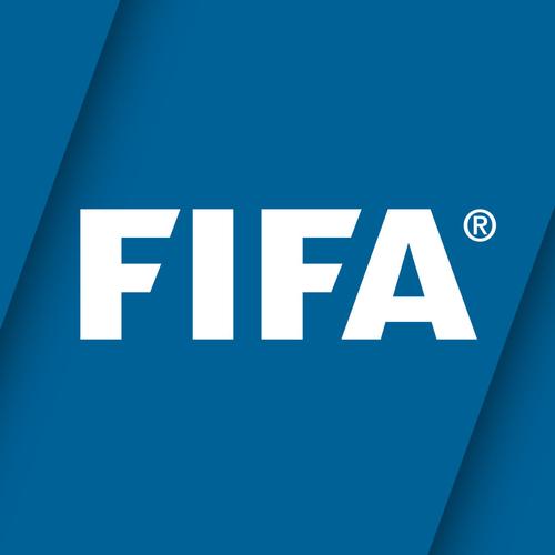 FIFA国际服