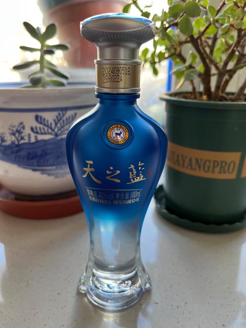 天之蓝pro直装vip图标