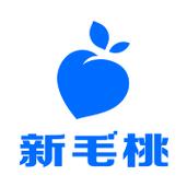 新毛桃u盘装系统