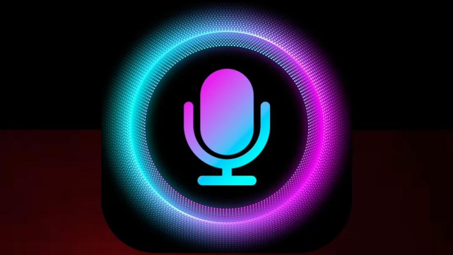 爱玩实时变声器纯净版