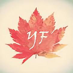 叶枫模组整合包下载