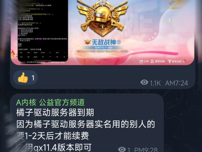 和平精英内核辅助使用方法视频