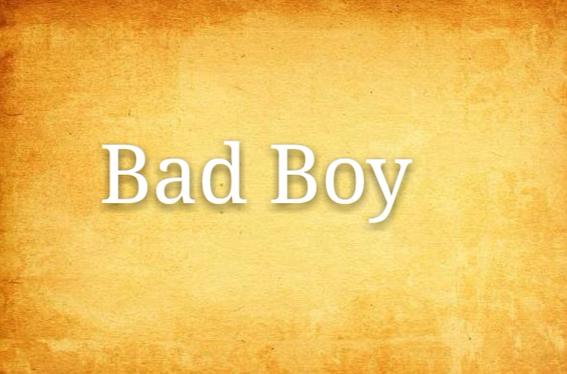 badboy鲍比安游戏特色