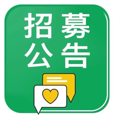 高级招募模拟器