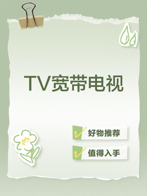 宽带电视TV免费版下载