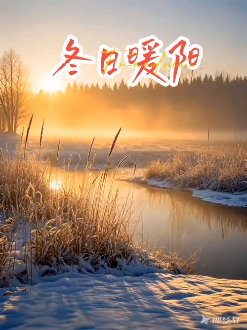 初冬暖阳官网