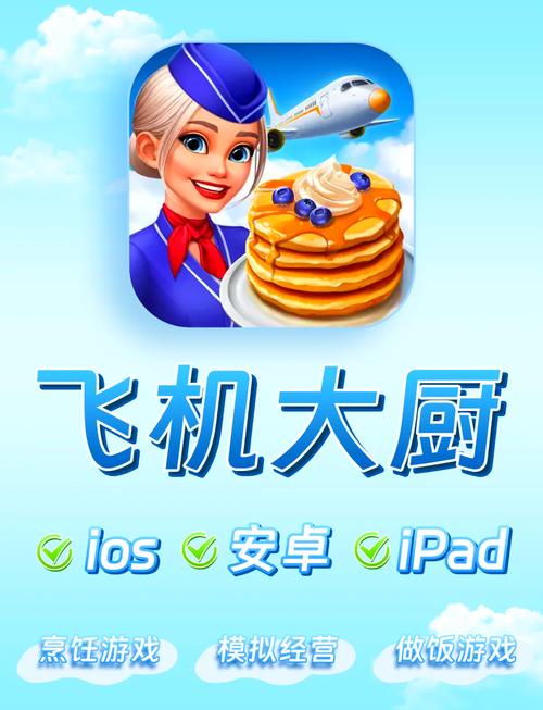 飞机大厨游戏免费高清影视