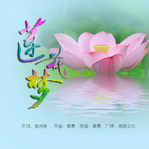 莲花梦迟TXT