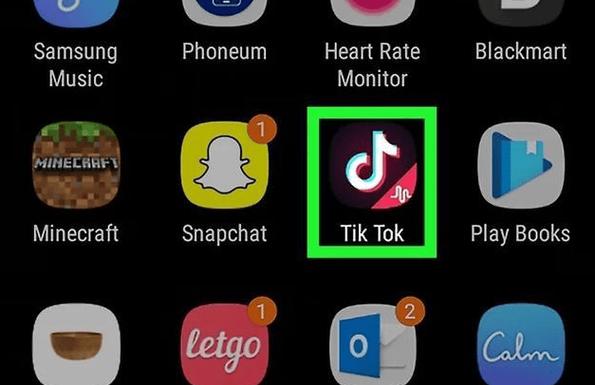 tiktok色板软件免费版