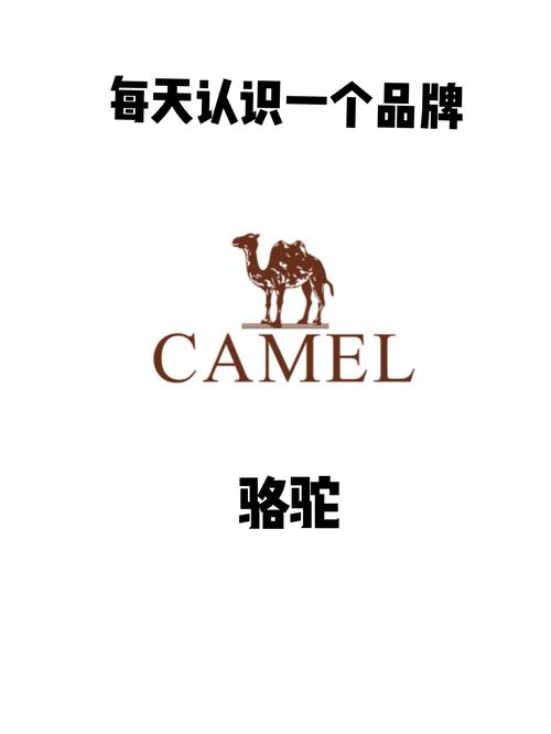 骆驼网(转发文章赚钱)
