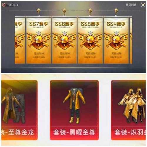 至尊金龙风衣美化包游戏截图