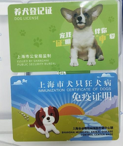 上海网上办狗证麦道