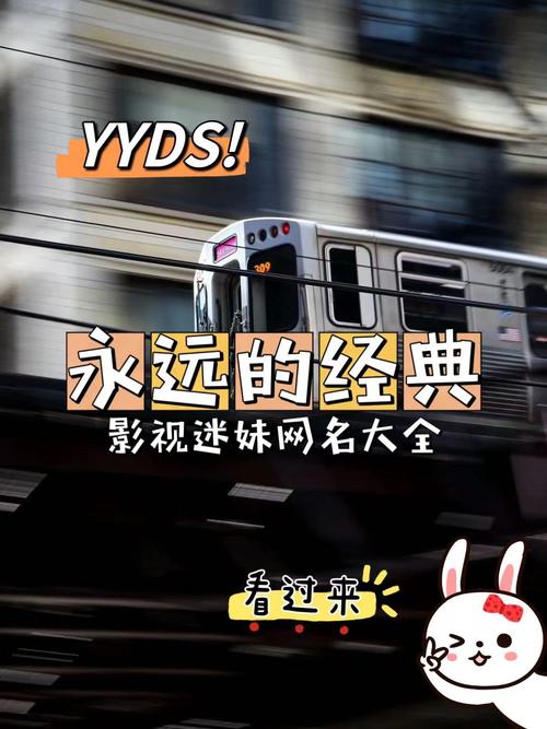 永远的经典永远的迷妹网完整版游戏截图