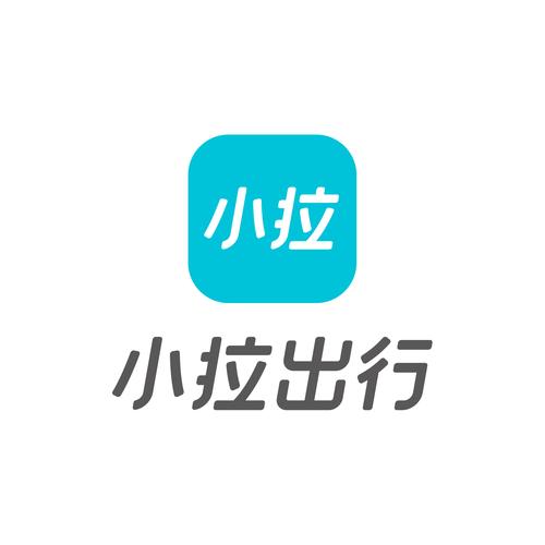 小拉出行车主app透视辅助