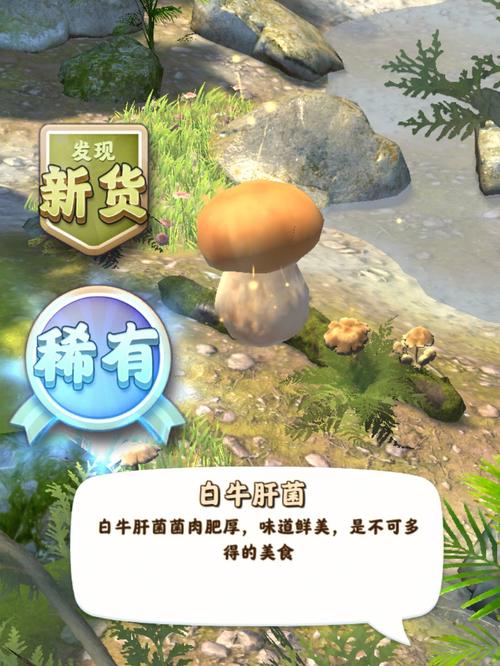 夺笋高手破解版无限钻石无限金币免广告电视版