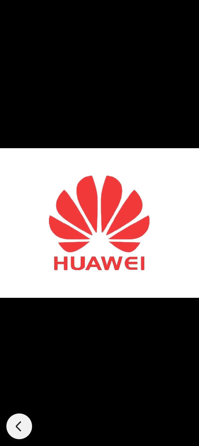 电视版游戏华为版