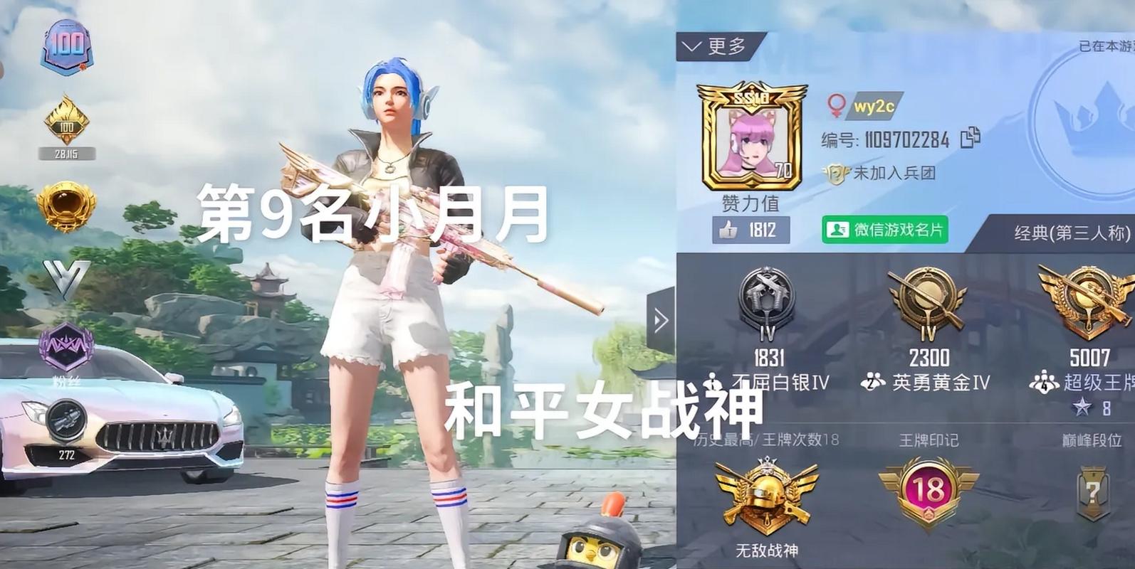 和平精英小月文件