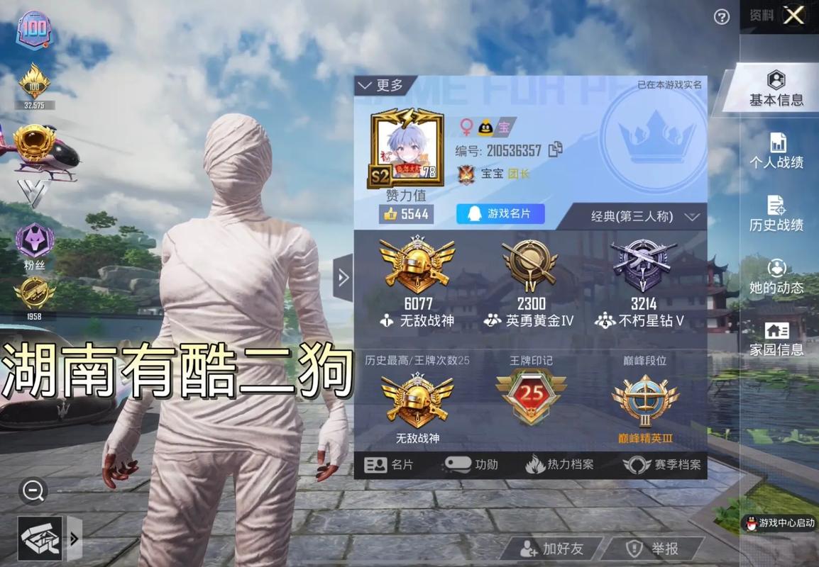 酷二狗和平精英美化包最新版