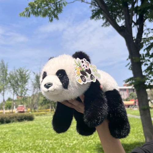 pandaactivate熊猫映射激活永久免费