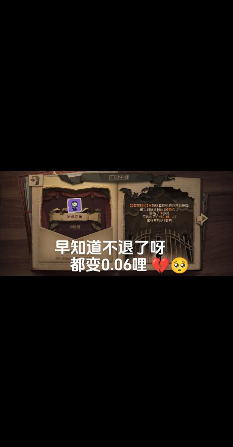 第五人格E站软件黑色老版