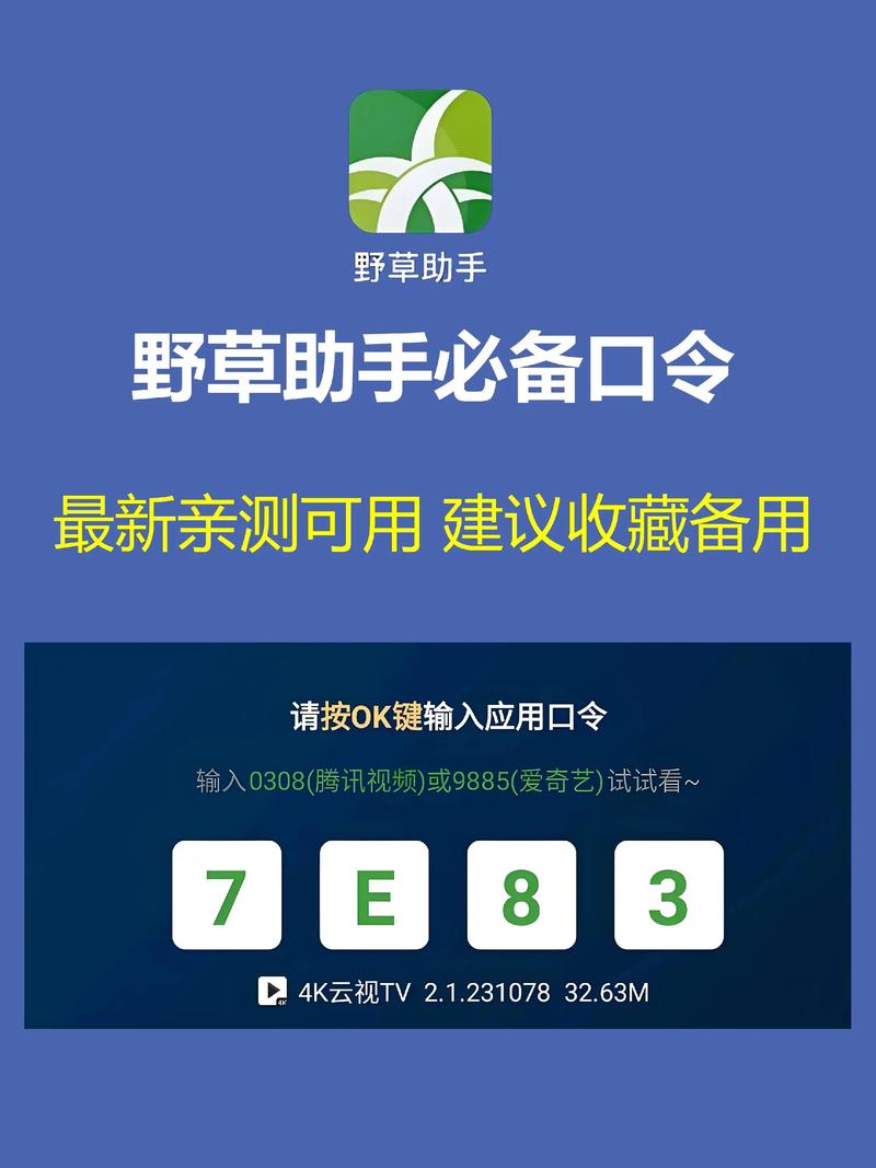 野草助手2025港澳台口令无限能量