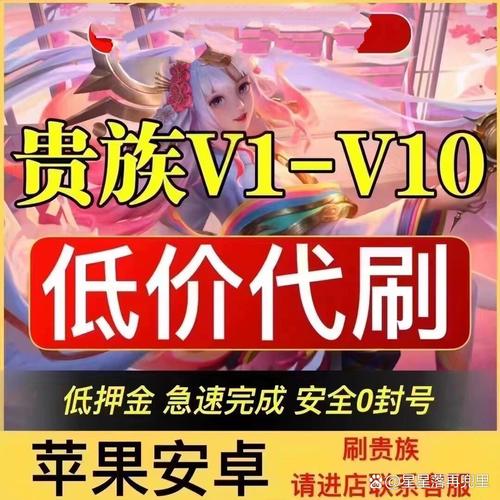 王者代刷皮肤