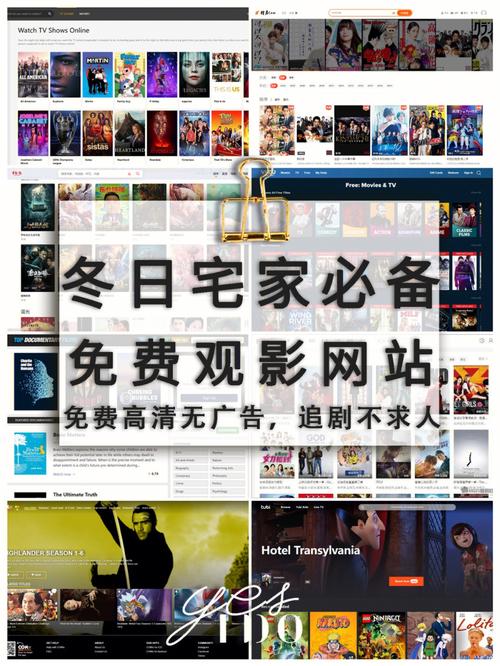 免费网站在线观看人数更新时间
