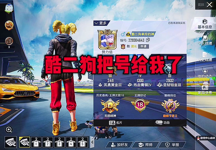 和平精英酷二狗美化包下载