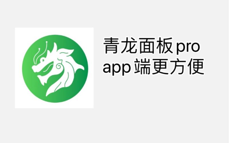 青龙直装辅助器