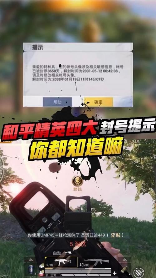 和平精英透视免费版不封号彩色版