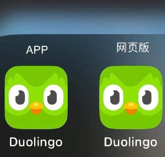 多邻国怎么恢复旧版本