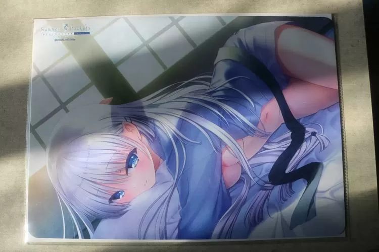 picacg绅士仲夏版