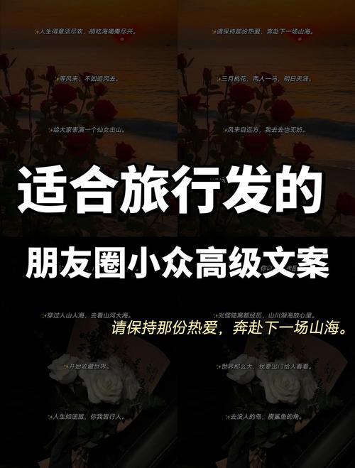 朋友圈万能查看器天涯中文最新版