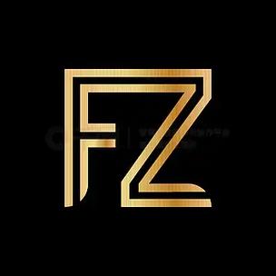 fz辅助平台入口2025游戏截图