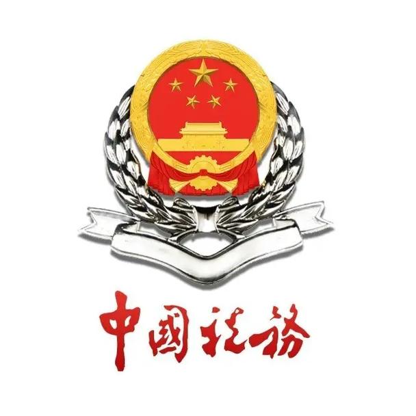 税务系统官方网站