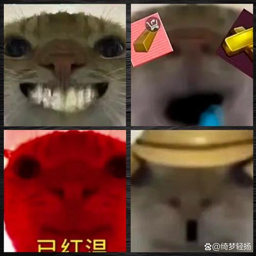 喵喵地铁逃生破解版
