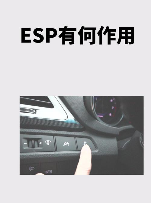 白菜ESP辅助器