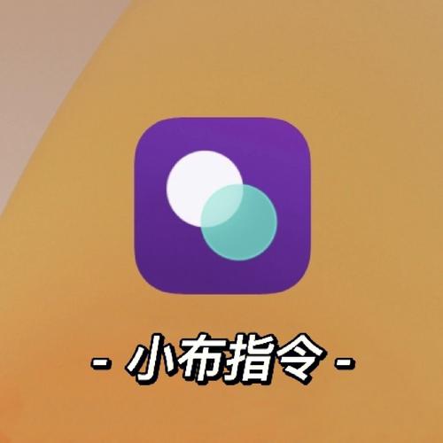小布指令官方正版