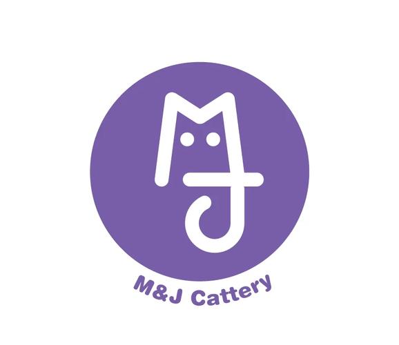 蓝猫加速器2023