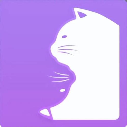密聊猫