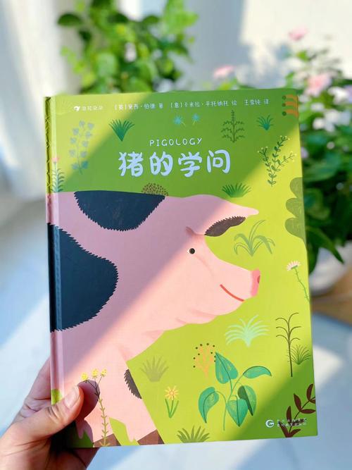 猪猪书本网